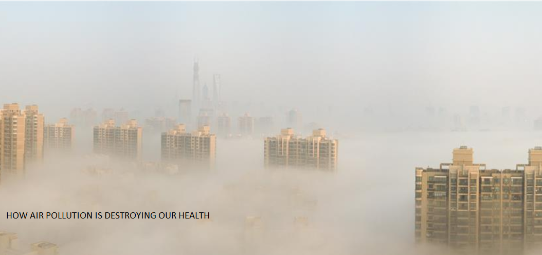 Screenshot_2020-08-07 How air pollution is destroying our health(1)-02.png
